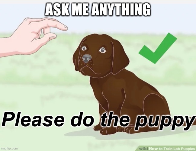 Please do the puppy | ASK ME ANYTHING | image tagged in please do the puppy | made w/ Imgflip meme maker