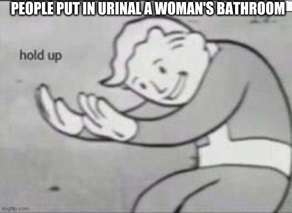 Fallout Hold Up | PEOPLE PUT IN URINAL A WOMAN'S BATHROOM | image tagged in fallout hold up | made w/ Imgflip meme maker