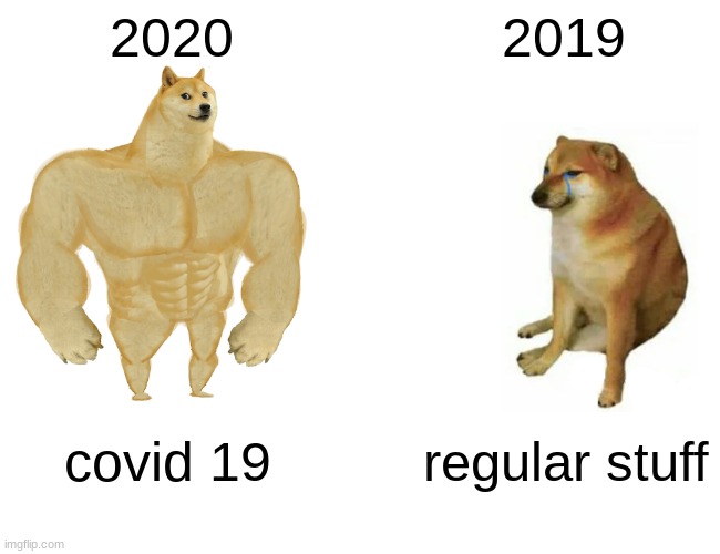 2020 The Bad Year In The 2020´s | 2020; 2019; covid 19; regular stuff | image tagged in memes,buff doge vs cheems | made w/ Imgflip meme maker