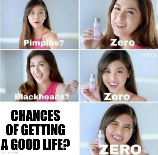 Pimples, Zero! | CHANCES OF GETTING A GOOD LIFE? | image tagged in pimples zero | made w/ Imgflip meme maker