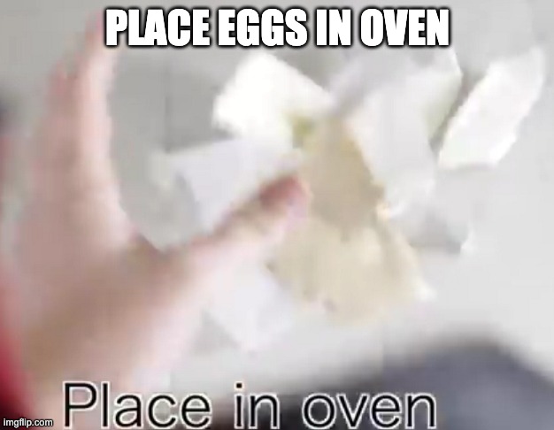 Place in oven HowToBasic | PLACE EGGS IN OVEN | image tagged in place in oven howtobasic | made w/ Imgflip meme maker