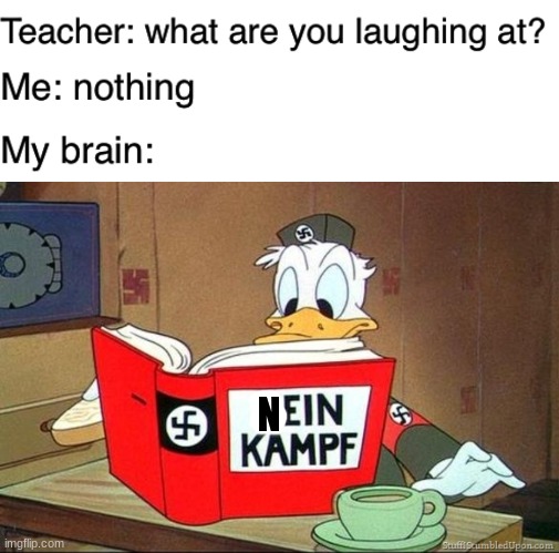 N | image tagged in teacher what are you laughing at,donald duck mein kampf | made w/ Imgflip meme maker