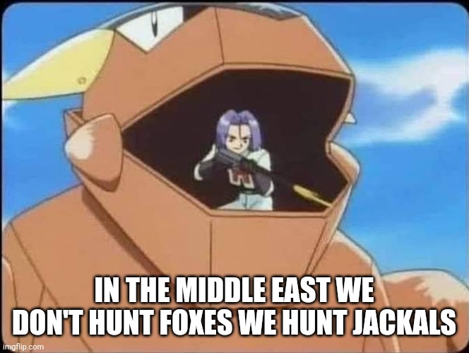 James in a Metal Gear | IN THE MIDDLE EAST WE DON'T HUNT FOXES WE HUNT JACKALS | image tagged in pokemon,metal gear solid,team rocket,james | made w/ Imgflip meme maker