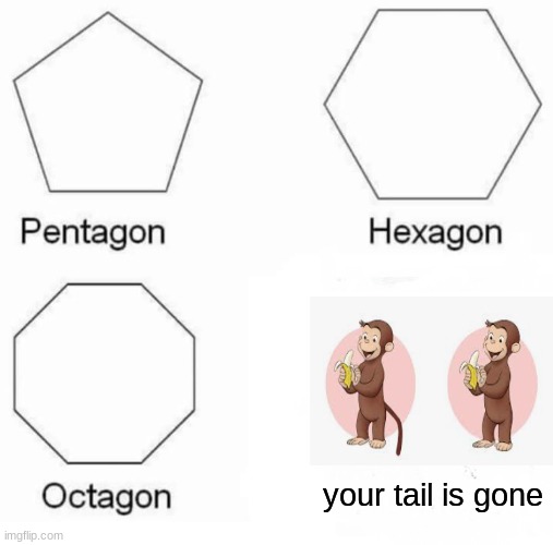 Didn't he have a tail? | your tail is gone | image tagged in memes,pentagon hexagon octagon,mandela effect | made w/ Imgflip meme maker