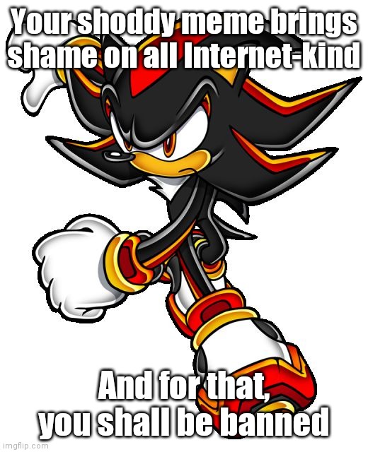 Shadow disapproves your meme | Your shoddy meme brings shame on all Internet-kind; And for that, you shall be banned | image tagged in shadow the hedgehog,sonic the hedgehog,shadow,knuckles | made w/ Imgflip meme maker