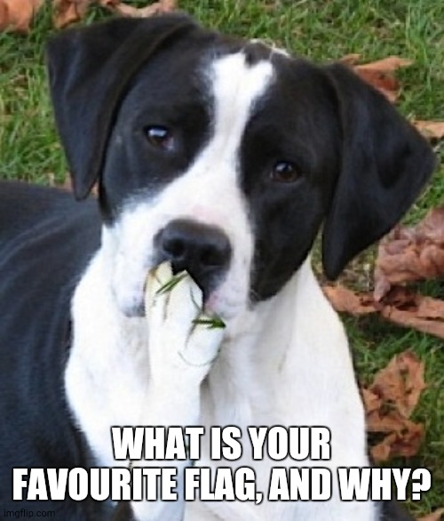 Dog Hmmmm | WHAT IS YOUR FAVOURITE FLAG, AND WHY? | image tagged in dog hmmmm | made w/ Imgflip meme maker