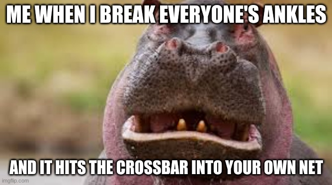 Sad Hippo meme | ME WHEN I BREAK EVERYONE'S ANKLES; AND IT HITS THE CROSSBAR INTO YOUR OWN NET | image tagged in sports | made w/ Imgflip meme maker