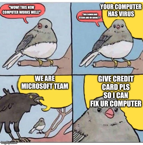 annoyed bird | YOUR COMPUTER HAS VIRUS; "WOW! THIS NEW COMPUTER WORKS WELL!"; "IMA DOWNLOAD STEAM AND IM GOING T-"; WE ARE MICROSOFT TEAM; GIVE CREDIT CARD PLS SO I CAN FIX UR COMPUTER | image tagged in annoyed bird | made w/ Imgflip meme maker