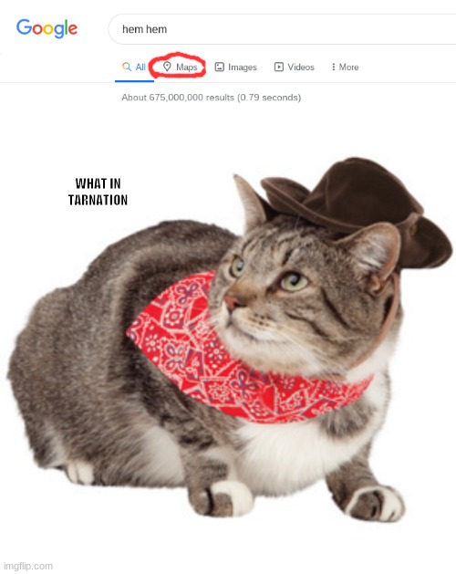 WHAT IN TARNATION | image tagged in what in tarnation | made w/ Imgflip meme maker