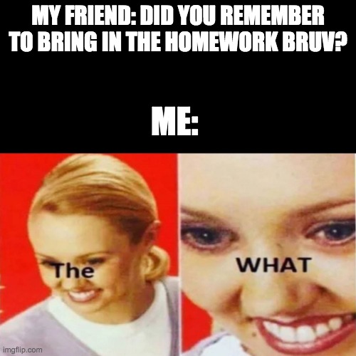 The What | MY FRIEND: DID YOU REMEMBER TO BRING IN THE HOMEWORK BRUV? ME: | image tagged in the what | made w/ Imgflip meme maker