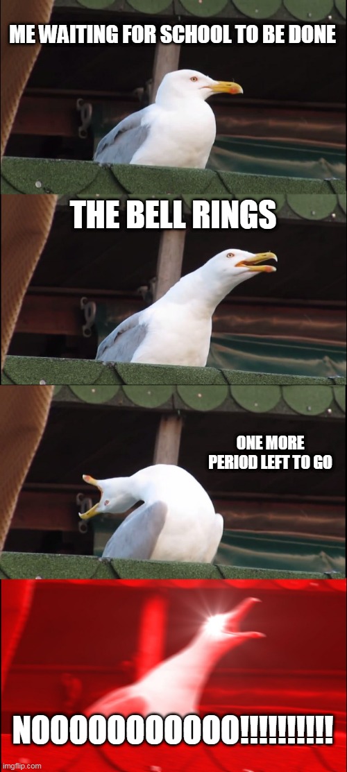 School is About to END |  ME WAITING FOR SCHOOL TO BE DONE; THE BELL RINGS; ONE MORE PERIOD LEFT TO GO; NOOOOOOOOOOO!!!!!!!!!! | image tagged in memes,inhaling seagull | made w/ Imgflip meme maker