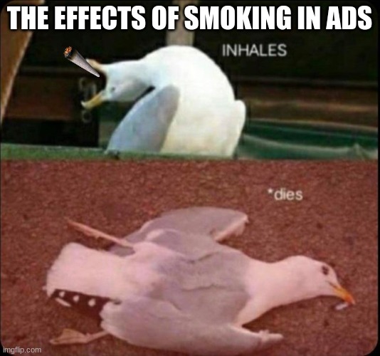 inhales dies bird |  THE EFFECTS OF SMOKING IN ADS | image tagged in inhales dies bird | made w/ Imgflip meme maker