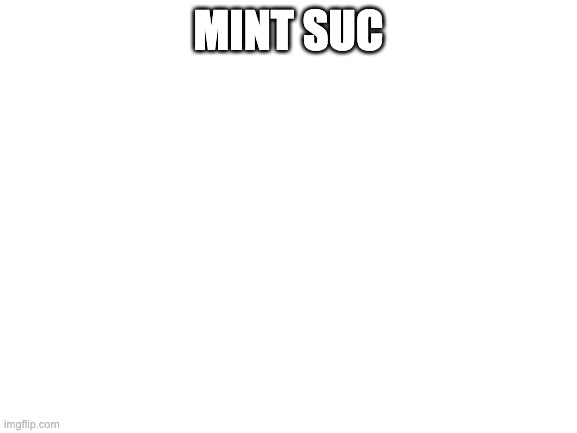 Blank White Template | MINT SUC | image tagged in blank white template | made w/ Imgflip meme maker