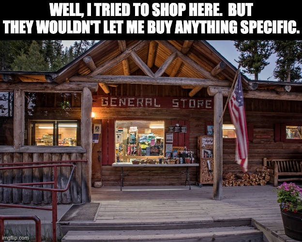 Nothing specific | WELL, I TRIED TO SHOP HERE.  BUT THEY WOULDN'T LET ME BUY ANYTHING SPECIFIC. | made w/ Imgflip meme maker