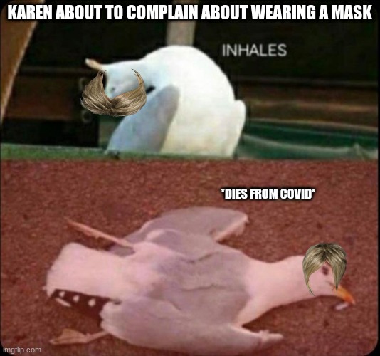 inhales dies bird | KAREN ABOUT TO COMPLAIN ABOUT WEARING A MASK; *DIES FROM COVID* | image tagged in inhales dies bird | made w/ Imgflip meme maker