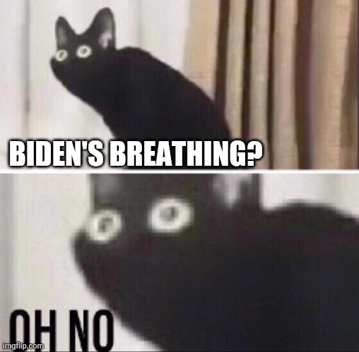 Oh no cat | BIDEN'S BREATHING? | image tagged in oh no cat | made w/ Imgflip meme maker