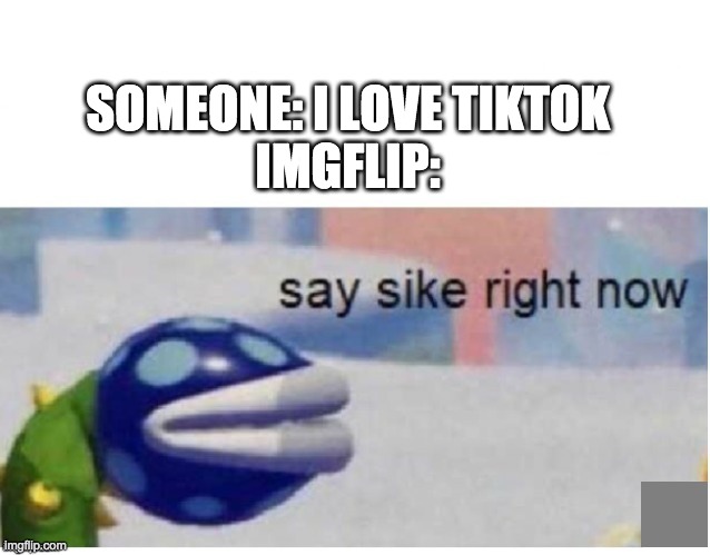 say sike right now | SOMEONE: I LOVE TIKTOK
IMGFLIP: | image tagged in say sike right now | made w/ Imgflip meme maker