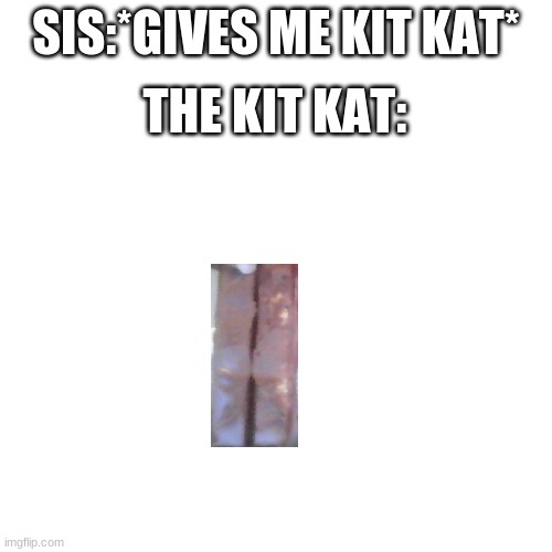 WUT | THE KIT KAT:; SIS:*GIVES ME KIT KAT* | image tagged in memes,blank transparent square | made w/ Imgflip meme maker