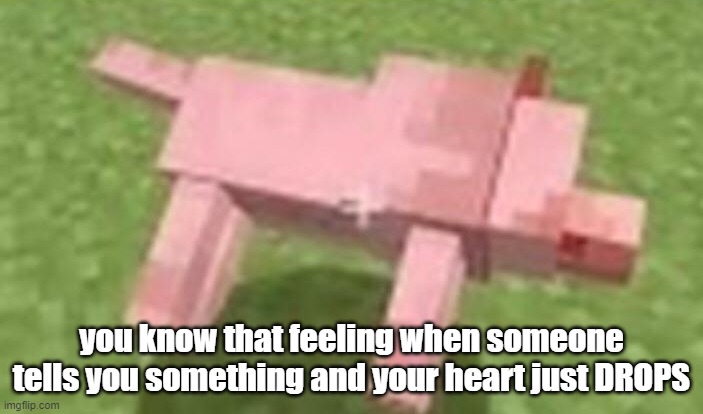 minecraft dog dying | you know that feeling when someone tells you something and your heart just DROPS | image tagged in minecraft dog dying | made w/ Imgflip meme maker