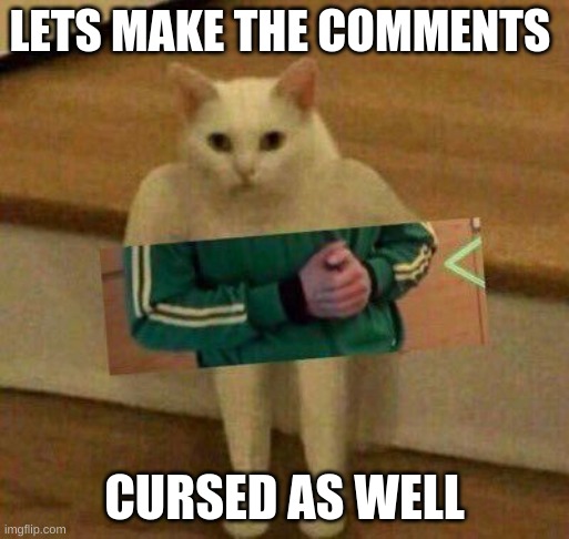 cursedcat | LETS MAKE THE COMMENTS CURSED AS WELL | image tagged in cursedcat | made w/ Imgflip meme maker