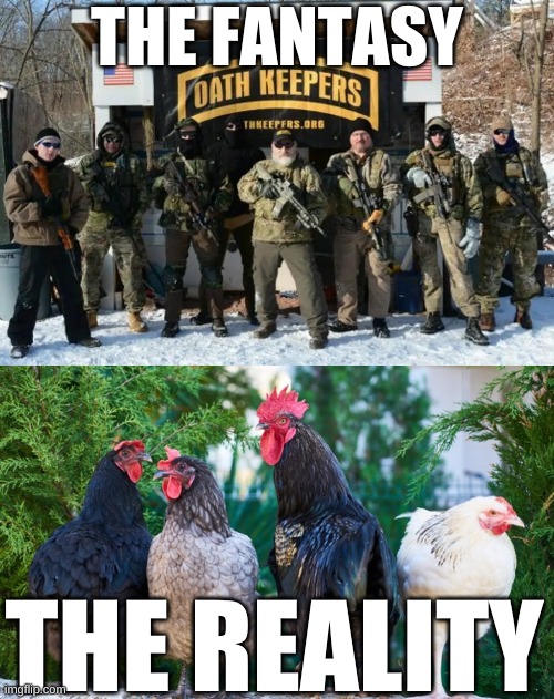 Oath Keepers:  Fantasy vs. Reality | THE FANTASY; THE REALITY | image tagged in oath keepers looking tough,reality,fantasy,militia,trump,insurrection | made w/ Imgflip meme maker