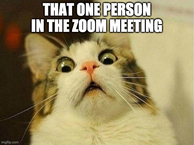 Scared Cat | THAT ONE PERSON IN THE ZOOM MEETING | image tagged in memes,scared cat | made w/ Imgflip meme maker