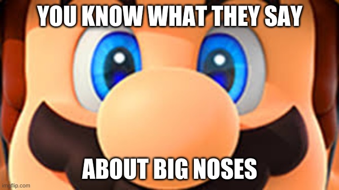 YOU KNOW WHAT THEY SAY; ABOUT BIG NOSES | image tagged in funny | made w/ Imgflip meme maker