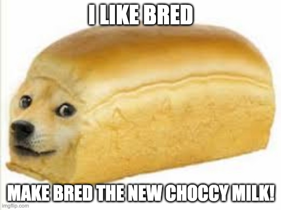Doge bread | I LIKE BRED; MAKE BRED THE NEW CHOCCY MILK! | image tagged in doge bread | made w/ Imgflip meme maker