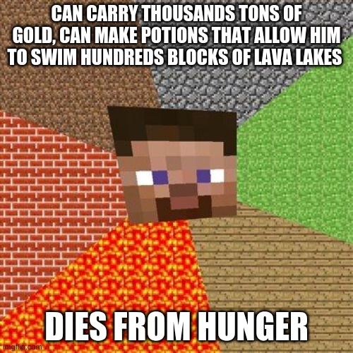 Minecraft Steve | CAN CARRY THOUSANDS TONS OF GOLD, CAN MAKE POTIONS THAT ALLOW HIM TO SWIM HUNDREDS BLOCKS OF LAVA LAKES; DIES FROM HUNGER | image tagged in minecraft steve | made w/ Imgflip meme maker