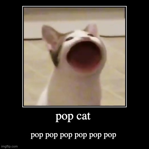 pop cat go brrrrrrrrrrrr | image tagged in funny,demotivationals | made w/ Imgflip demotivational maker