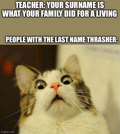 Yeah. | TEACHER: YOUR SURNAME IS WHAT YOUR FAMILY DID FOR A LIVING; PEOPLE WITH THE LAST NAME THRASHER: | image tagged in memes,scared cat,thrasher,lol,funny,cats | made w/ Imgflip meme maker