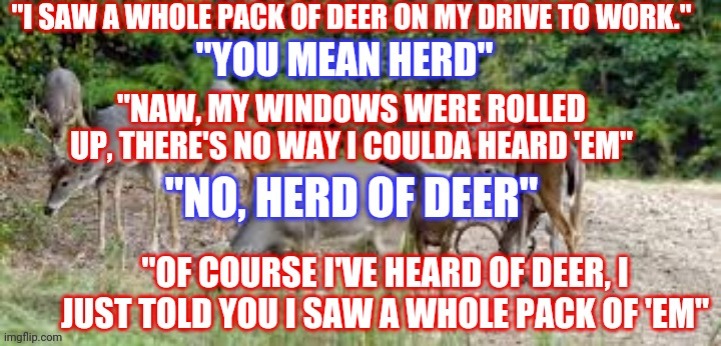 Herd of deer? | image tagged in funny memes | made w/ Imgflip meme maker