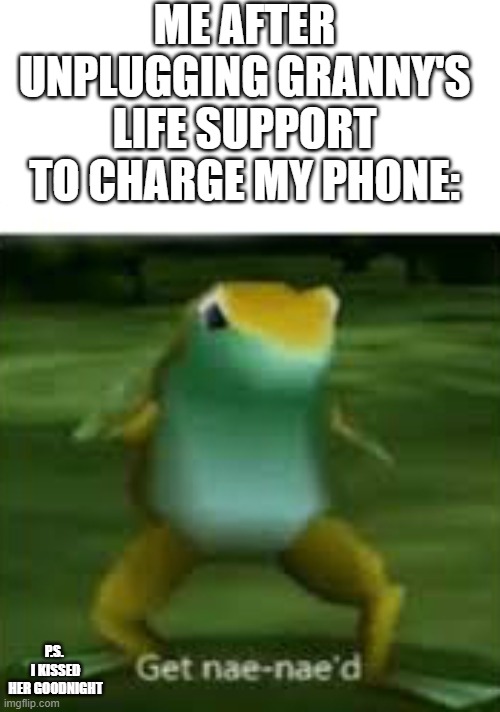 Get nae nae'd | ME AFTER UNPLUGGING GRANNY'S LIFE SUPPORT TO CHARGE MY PHONE: P.S. 
I KISSED HER GOODNIGHT | image tagged in get nae nae'd | made w/ Imgflip meme maker