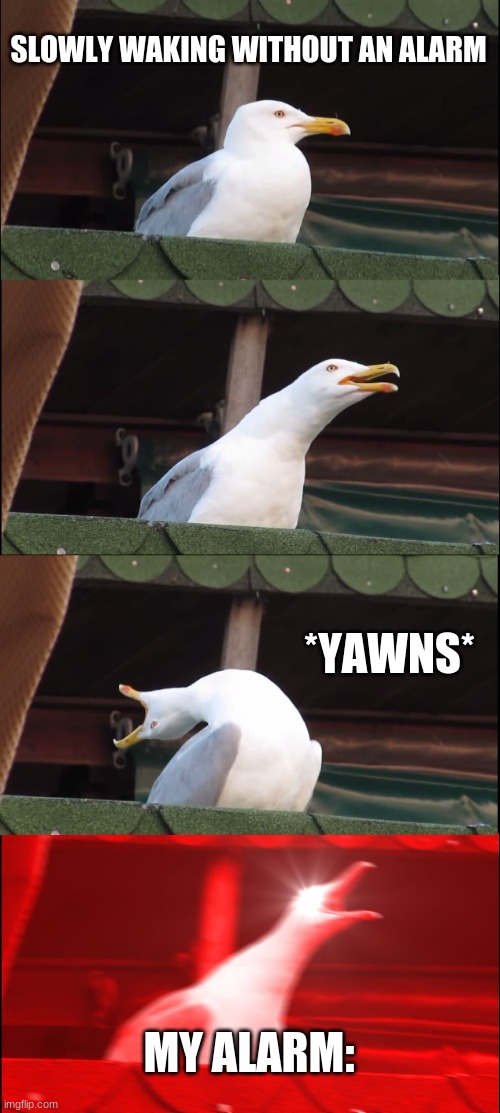 Inhaling Seagull | SLOWLY WAKING WITHOUT AN ALARM; *YAWNS*; MY ALARM: | image tagged in memes,inhaling seagull | made w/ Imgflip meme maker