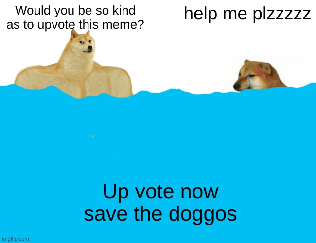 Upvote=1 doggo save irl | Would you be so kind as to upvote this meme? help me plzzzzz; Up vote now
save the doggos | image tagged in memes,buff doge vs cheems | made w/ Imgflip meme maker