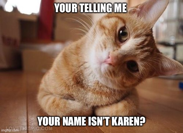 Curious Question Cat | YOUR TELLING ME; YOUR NAME ISN’T KAREN? | image tagged in curious question cat | made w/ Imgflip meme maker
