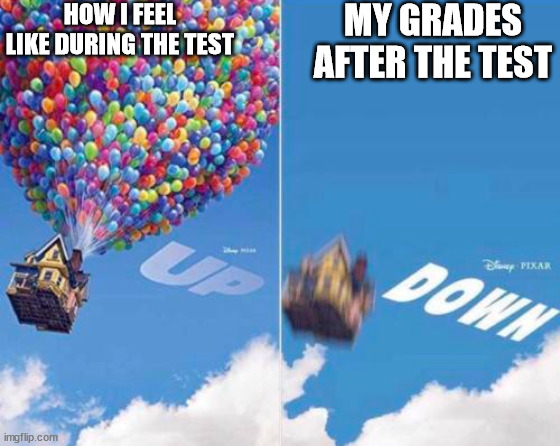 DOWN, DOWN TO THE LOWEST PART OF HELL |  HOW I FEEL LIKE DURING THE TEST; MY GRADES AFTER THE TEST | image tagged in up and down | made w/ Imgflip meme maker