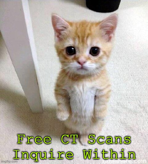 CT Scan | Free CT Scans
Inquire Within | image tagged in memes,cute cat | made w/ Imgflip meme maker