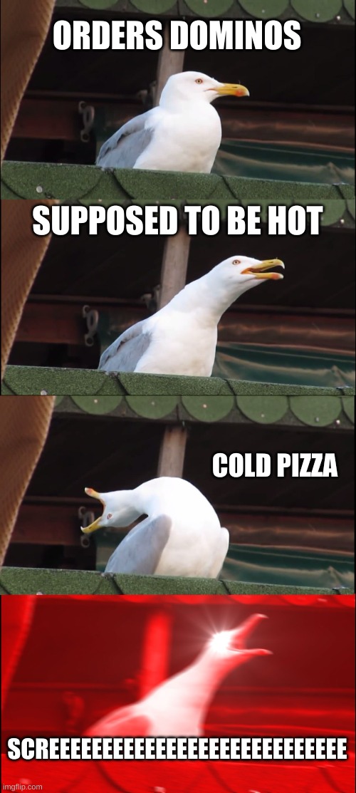 DOMINOS | ORDERS DOMINOS; SUPPOSED TO BE HOT; COLD PIZZA; SCREEEEEEEEEEEEEEEEEEEEEEEEEEEE | image tagged in memes,inhaling seagull | made w/ Imgflip meme maker
