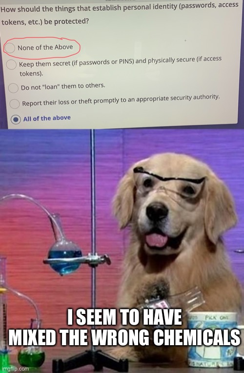 I SEEM TO HAVE MIXED THE WRONG CHEMICALS | image tagged in memes,i have no idea what i am doing dog | made w/ Imgflip meme maker