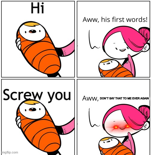 Aww, His Last Words | Hi; Screw you; DON`T SAY THAT TO ME EVER AGAIN | image tagged in aww his last words | made w/ Imgflip meme maker