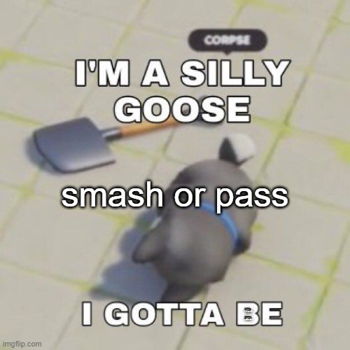silly goose | smash or pass; in desperate need of a distraction | image tagged in silly goose | made w/ Imgflip meme maker