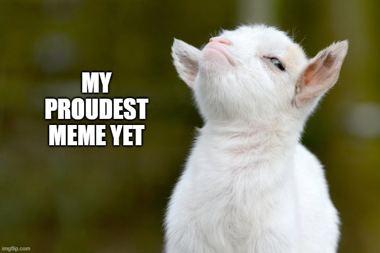 MY PROUDEST MEME YET | image tagged in proud baby goat | made w/ Imgflip meme maker
