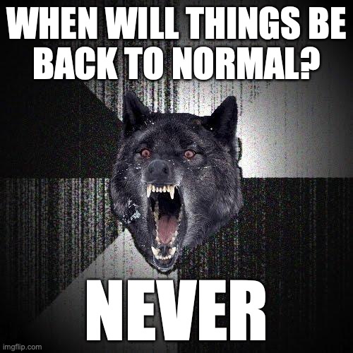Insanity Wolf Meme | WHEN WILL THINGS BE
BACK TO NORMAL? NEVER | image tagged in memes,insanity wolf | made w/ Imgflip meme maker