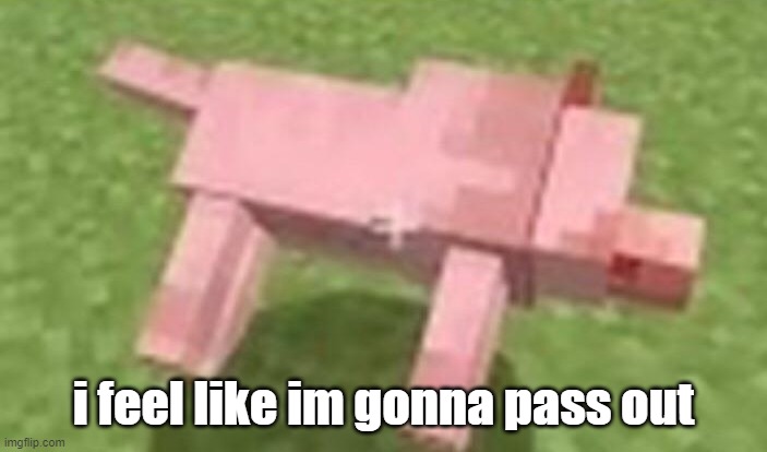 minecraft dog dying | i feel like im gonna pass out | image tagged in minecraft dog dying | made w/ Imgflip meme maker