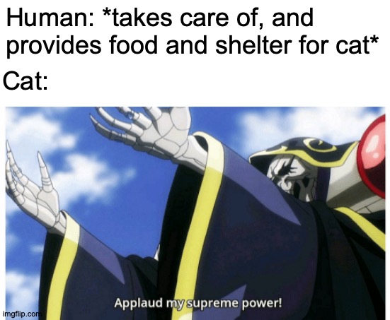 But We Love Them Anyway | Human: *takes care of, and provides food and shelter for cat*; Cat:; https://www.youtube.com/watch?v=4T45Sbkndjc | image tagged in applaud my supreme power,memes,cats,be like | made w/ Imgflip meme maker