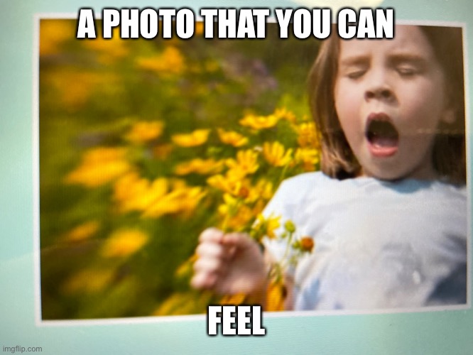 A PHOTO THAT YOU CAN; FEEL | image tagged in emotions | made w/ Imgflip meme maker