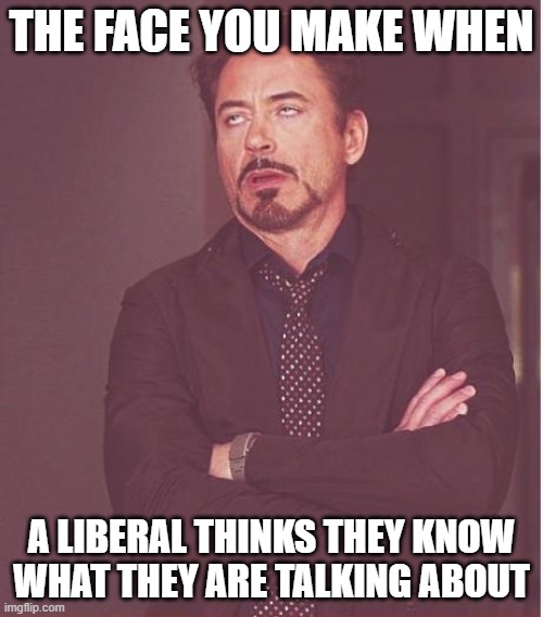 Face You Make Robert Downey Jr | THE FACE YOU MAKE WHEN; A LIBERAL THINKS THEY KNOW WHAT THEY ARE TALKING ABOUT | image tagged in memes,face you make robert downey jr | made w/ Imgflip meme maker