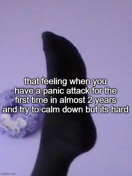 that feeling when you have a panic attack for the first time in almost 2 years and try to calm down but its hard | image tagged in perhaps rose's foot | made w/ Imgflip meme maker