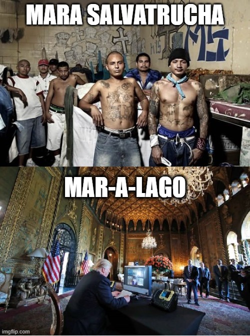know your maras | MARA SALVATRUCHA; MAR-A-LAGO | image tagged in republicans,thugs,gang,criminals | made w/ Imgflip meme maker